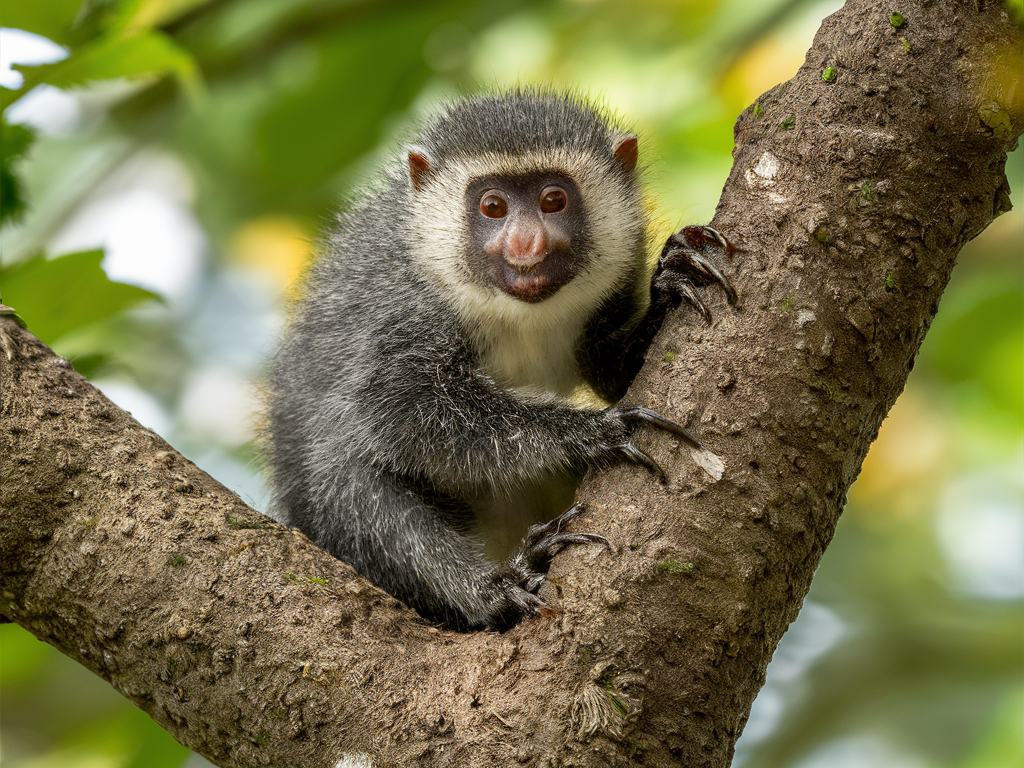 Les dangers des nids de guêpes et comment les éliminer à Villeurbanne