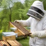 Abeilles elevage : conseils et services pour protéger votre rucher