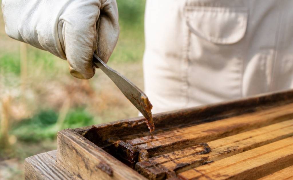 A quoi sert le propolis en apiculture