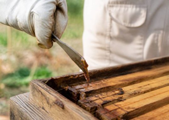A quoi sert le propolis en apiculture