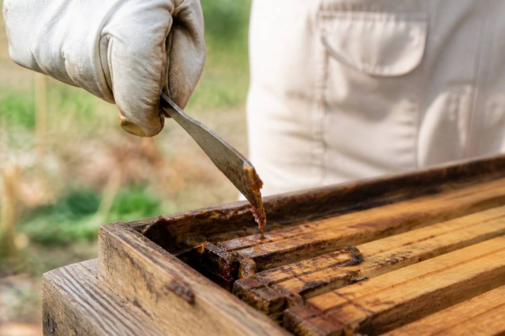 A quoi sert le propolis en apiculture