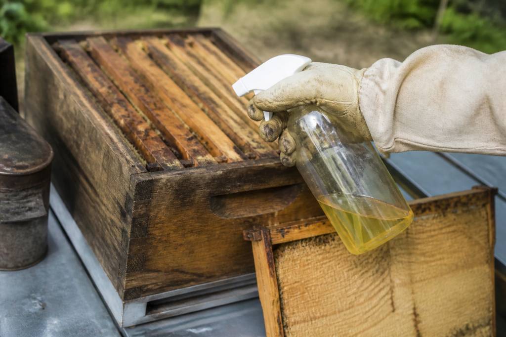 Fausse teigne vinaigre : usages et efficacité en apiculture