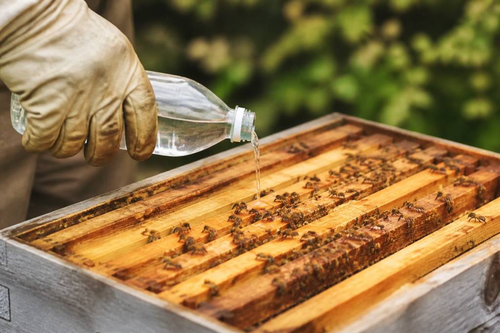 Acide formique en apiculture : traitement naturel contre le varroa et les parasites des ruches