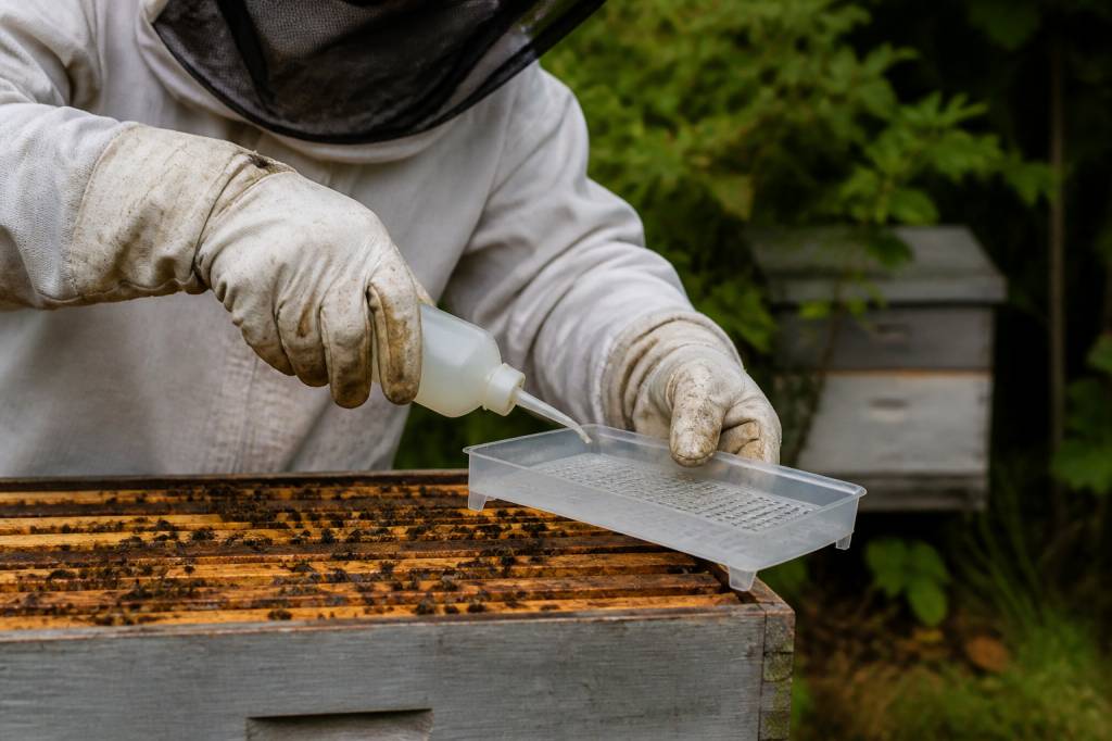 Acide formique utilisation en apiculture pour lutter contre le varroa