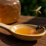 Pourquoi utiliser une cuillère en bois pour le miel face aux frelons et aux guêpes