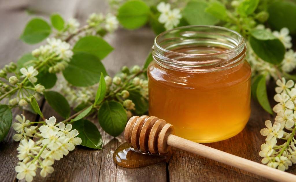 Bourdaine miel vertus : bienfaits et propriétés de ce miel rare