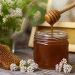Bienfaits du miel de sarrasin pour la santé et l’apiculture