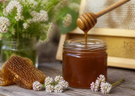 Bienfaits du miel de sarrasin pour la santé et l’apiculture