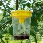 Abeille type pour identifier et éliminer les nids de guêpes et de frelons asiatiques