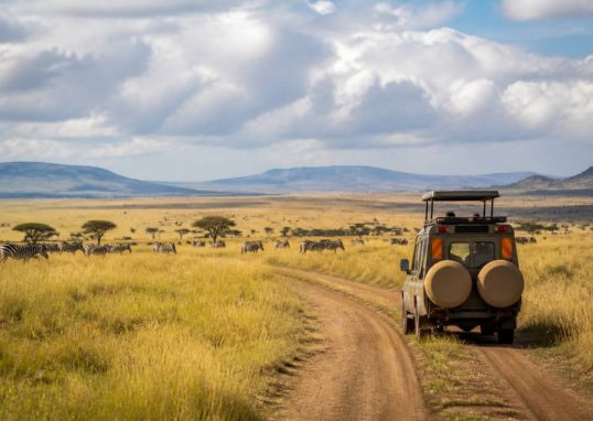 Parc national du serengeti : conseils pratiques pour organiser votre voyage