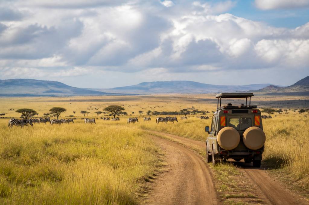 Parc national du serengeti : conseils pratiques pour organiser votre voyage