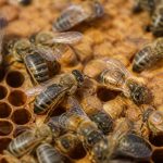 Abeille travailleuse : rôle et importance dans la colonie