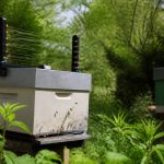 Harpe électrique frelon prix : quel modèle choisir pour protéger ses ruches ?