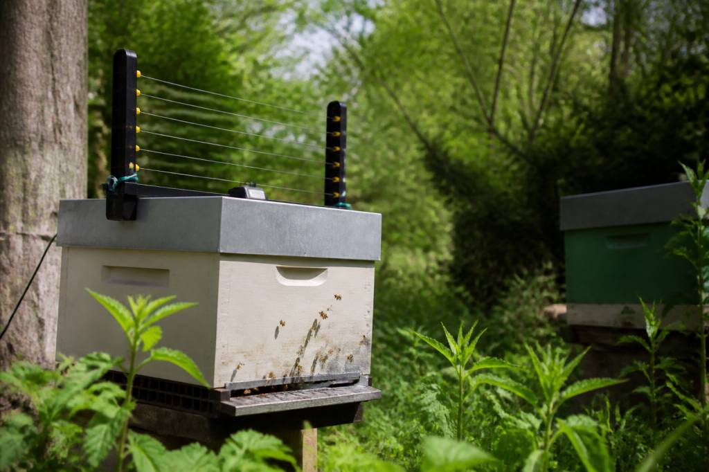 Harpe électrique frelon prix : quel modèle choisir pour protéger ses ruches ?