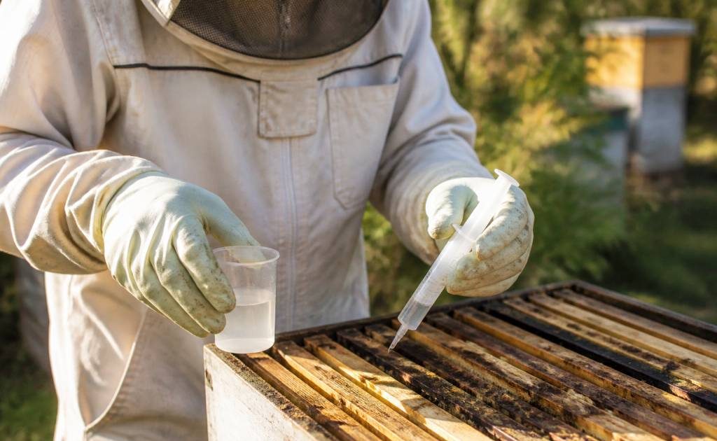 Acide oxalique dosage : guide pratique pour traiter les varroas en apiculture