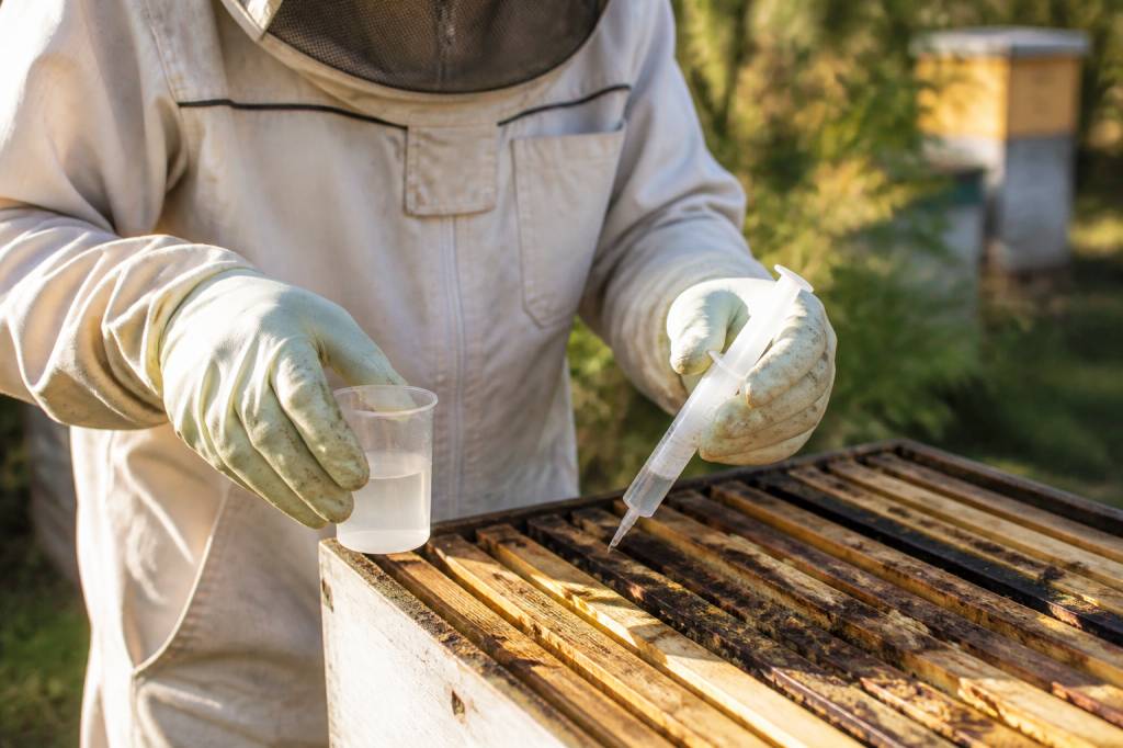Acide oxalique dosage : guide pratique pour traiter les varroas en apiculture