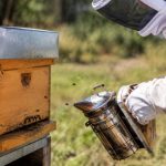 Les abeilles piquent-elles ? comprendre leur comportement et éviter les piqûres