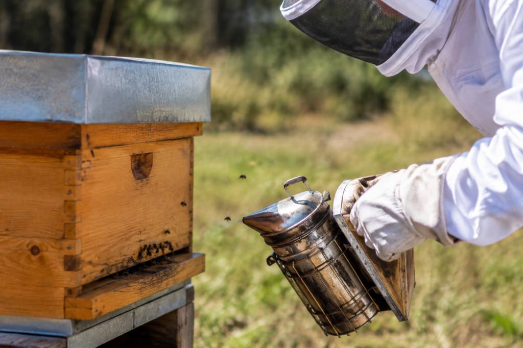 Les abeilles piquent-elles ? comprendre leur comportement et éviter les piqûres