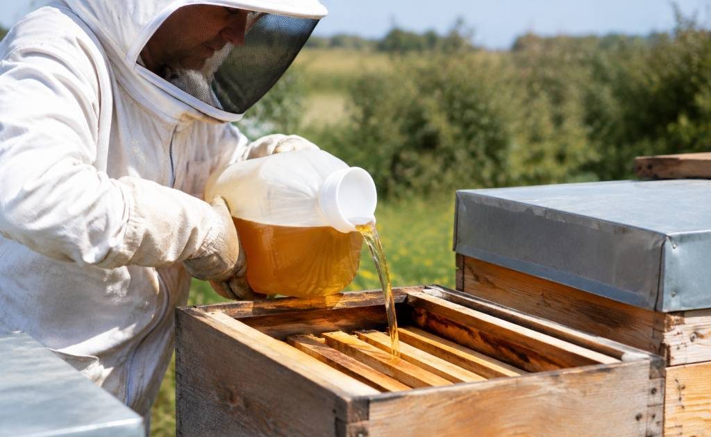 Sirop abeille 70/3 dosage et utilisation pour nourrir les abeilles