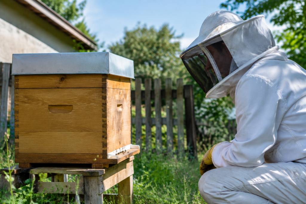 Réglementation ruches voisinage : règles à respecter pour installer une ruche chez soi