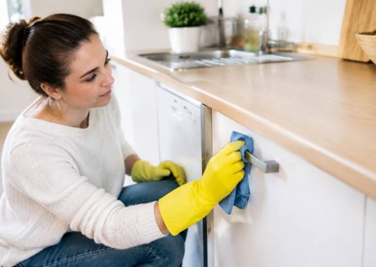 Mite cuisine : comment s’en débarrasser efficacement