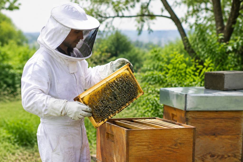 Catalogue apiculture pdf : matériel, conseils et services pour les apiculteurs