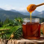 Fabrication du miel de sapin : comprendre ses origines et ses secrets