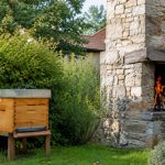 Ruche cheminée : comment protéger une ruche installée près d’une cheminée ?