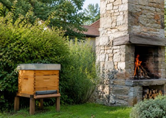 Ruche cheminée : comment protéger une ruche installée près d’une cheminée ?
