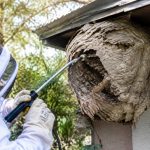 Apiculture Rennes : destruction de nids de guêpes et de frelons asiatiques